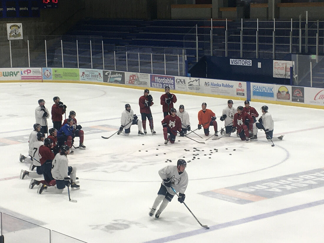Ice Dogs